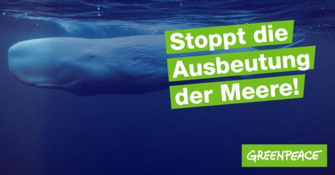 Wal im Meer mit dem Slogan "Stoppt die Ausbeutung der Meere"