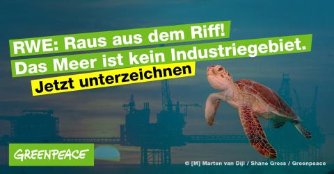 RWE: Raus aus dem Riff - das Meer ist kein Industriegebiet