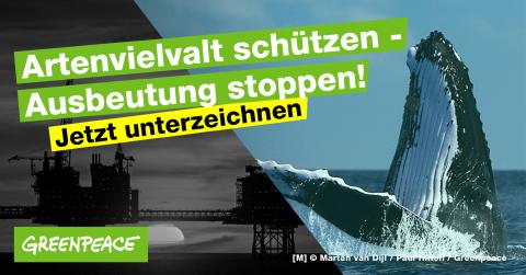 Artenvielfalt schützen - das Meer ist kein Industriegebiet!